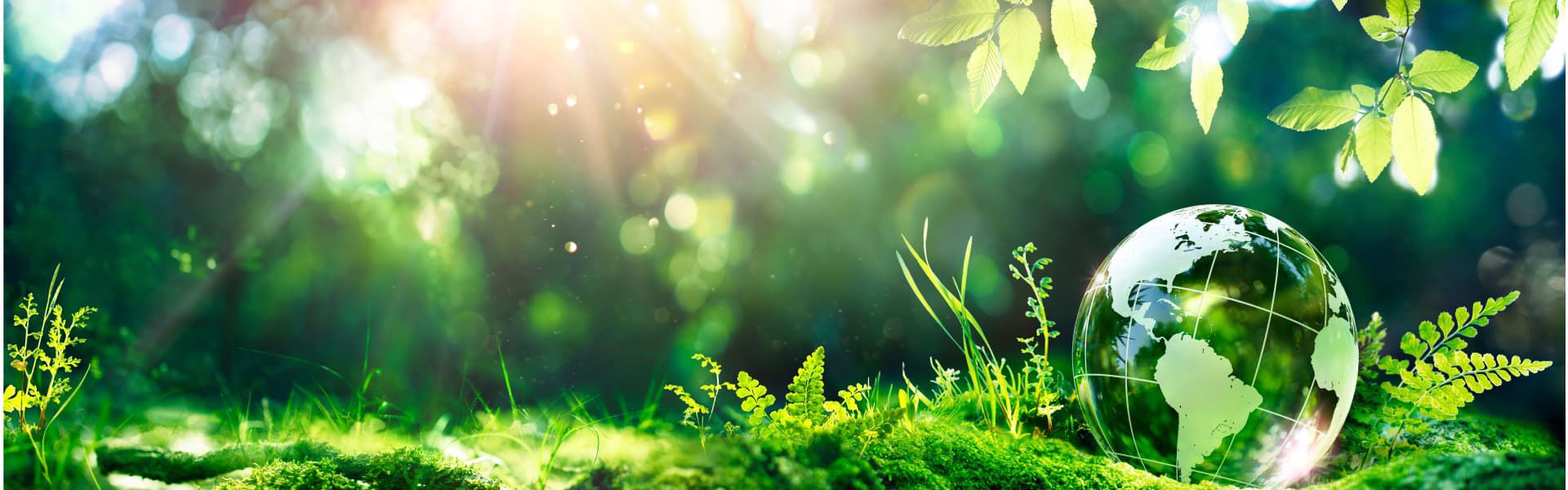 sustentabilidade