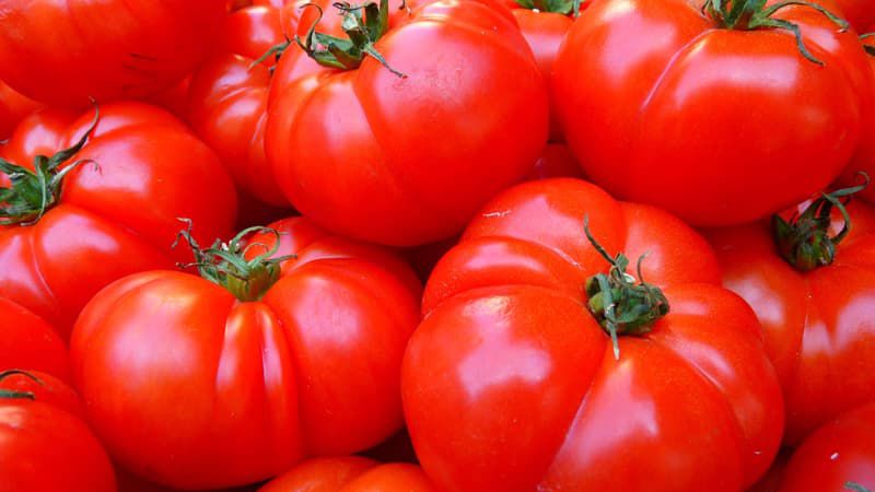 agroalimentar