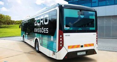 Caetanobus