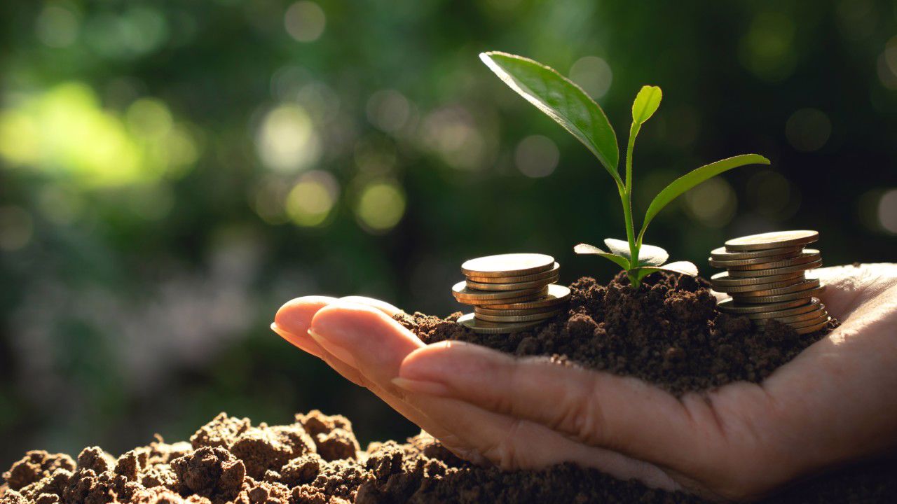 sustentabilidade
