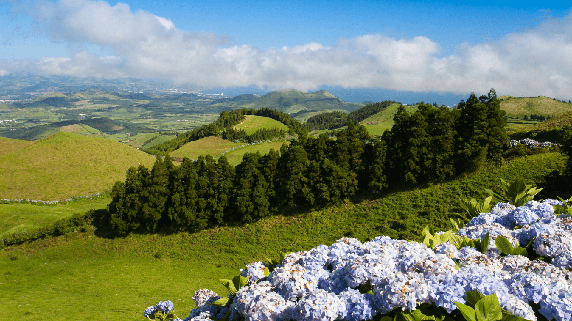 São Miguel, Açores