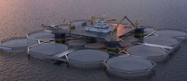 colab aquacultura
