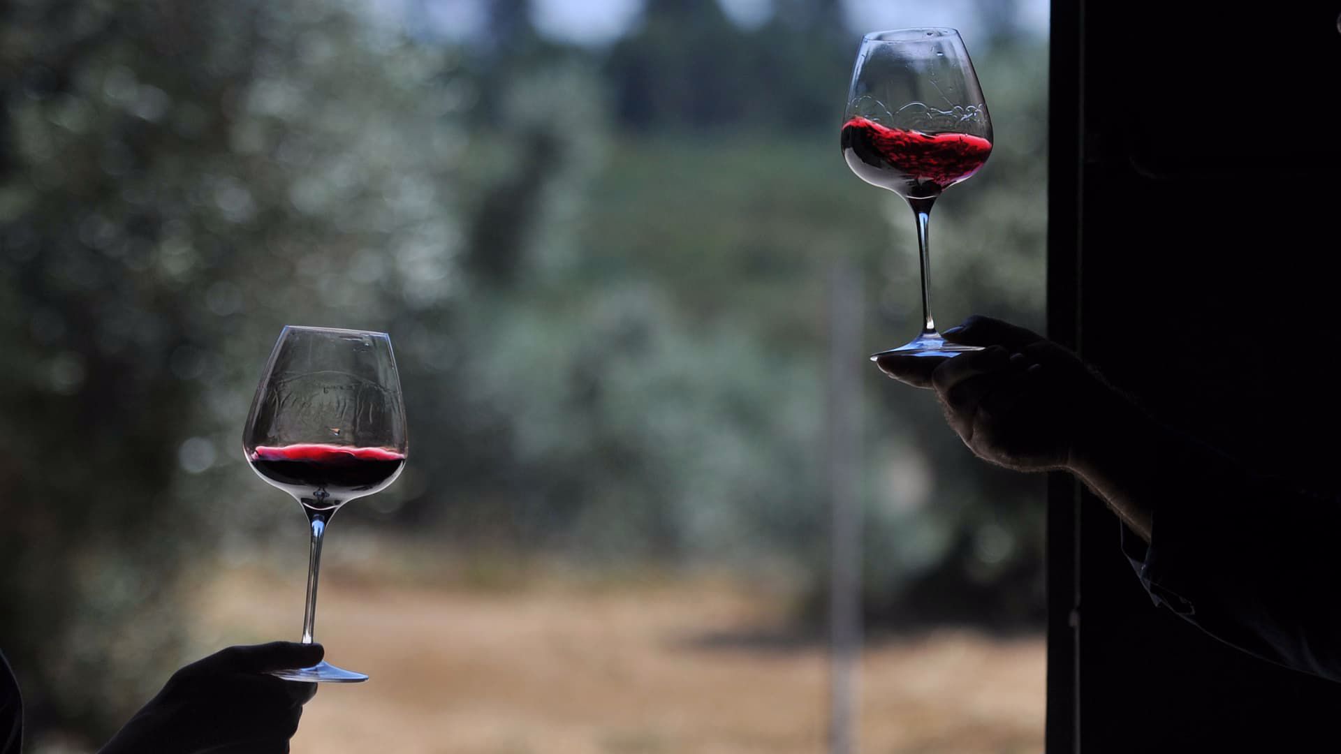 vinho