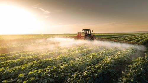 agrifood