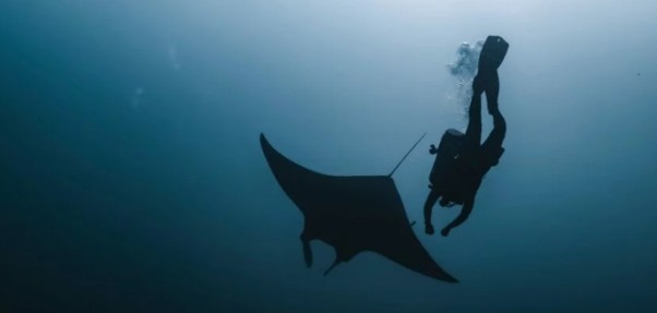 The ocean as a laboratory: