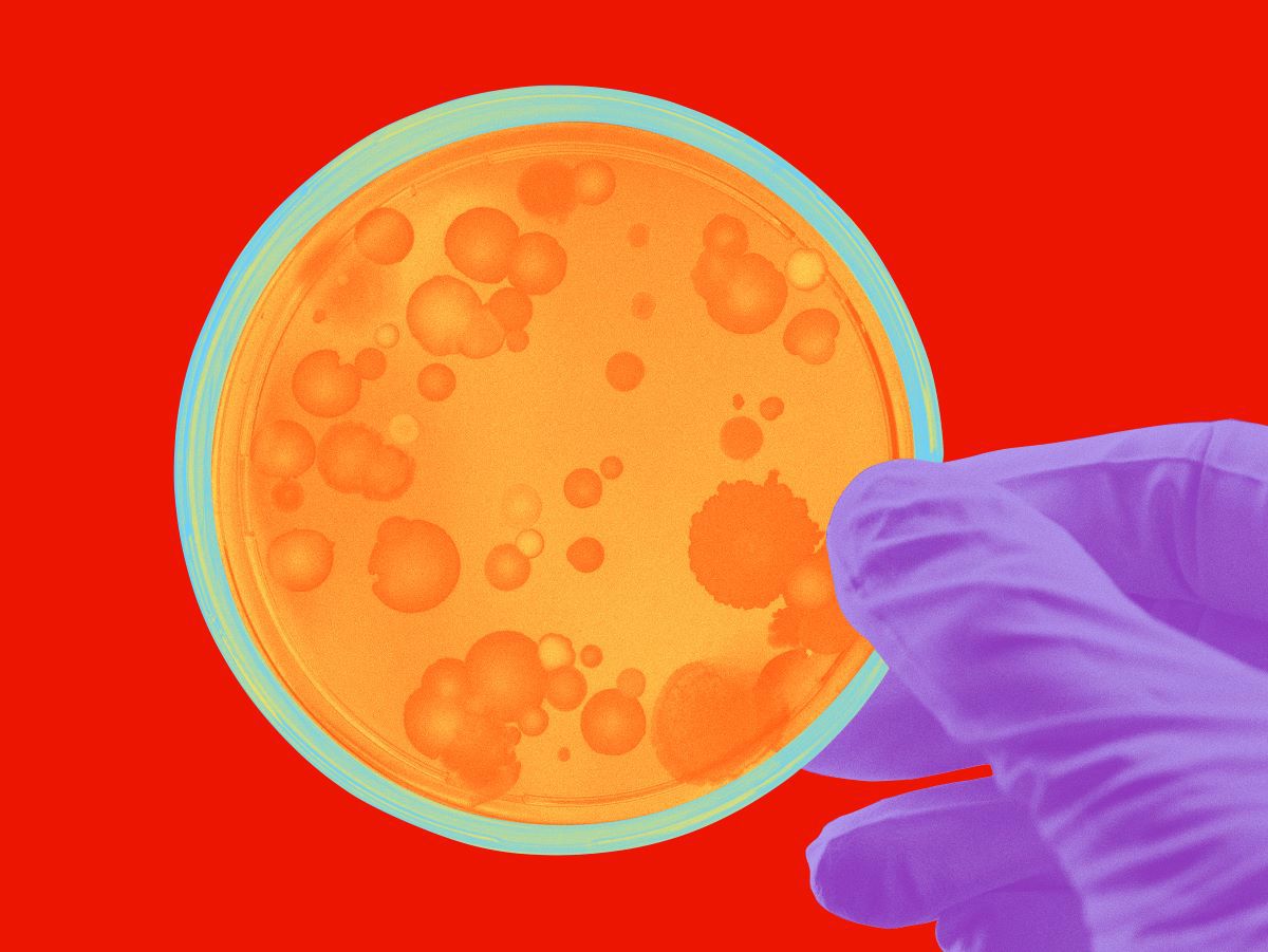Johnson & Johnson Innovative Medicine