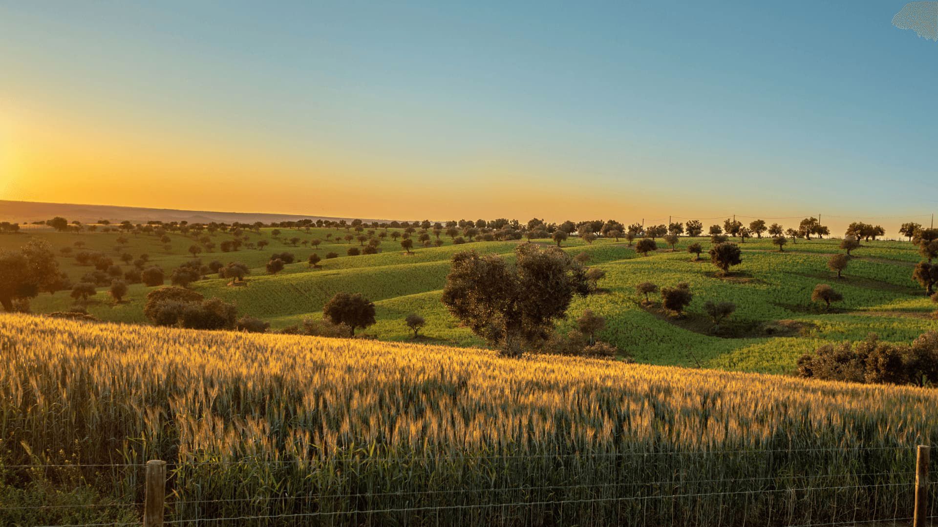 Alentejo