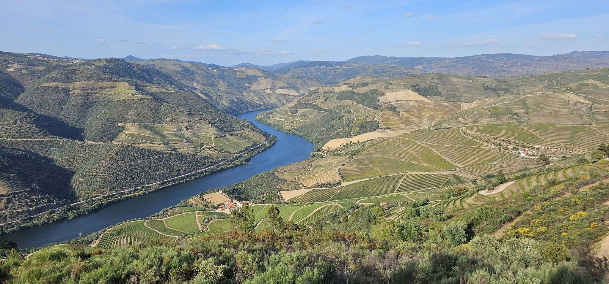 douro paisagem vinho