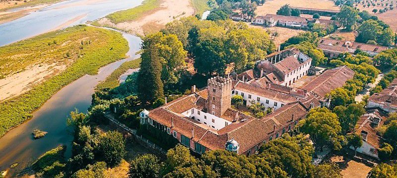 quinta cardiga