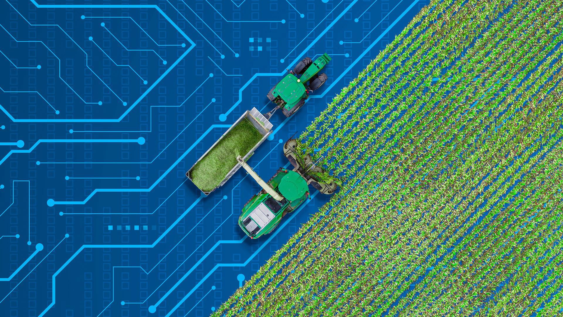 agricultura