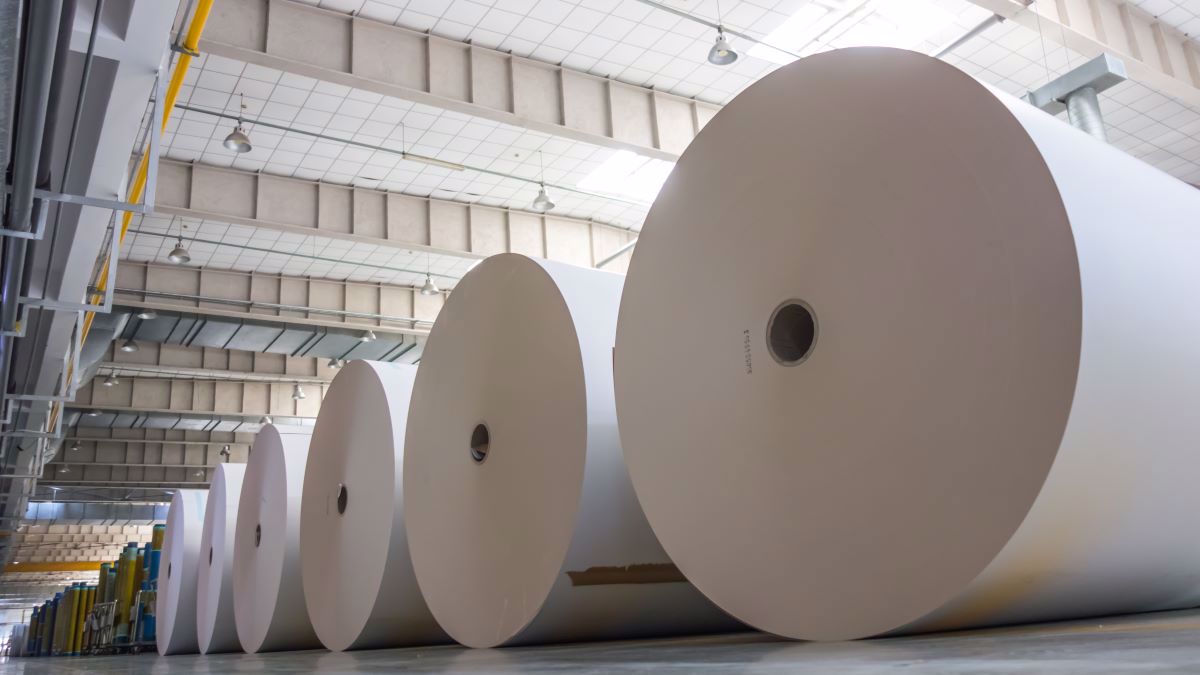 papel