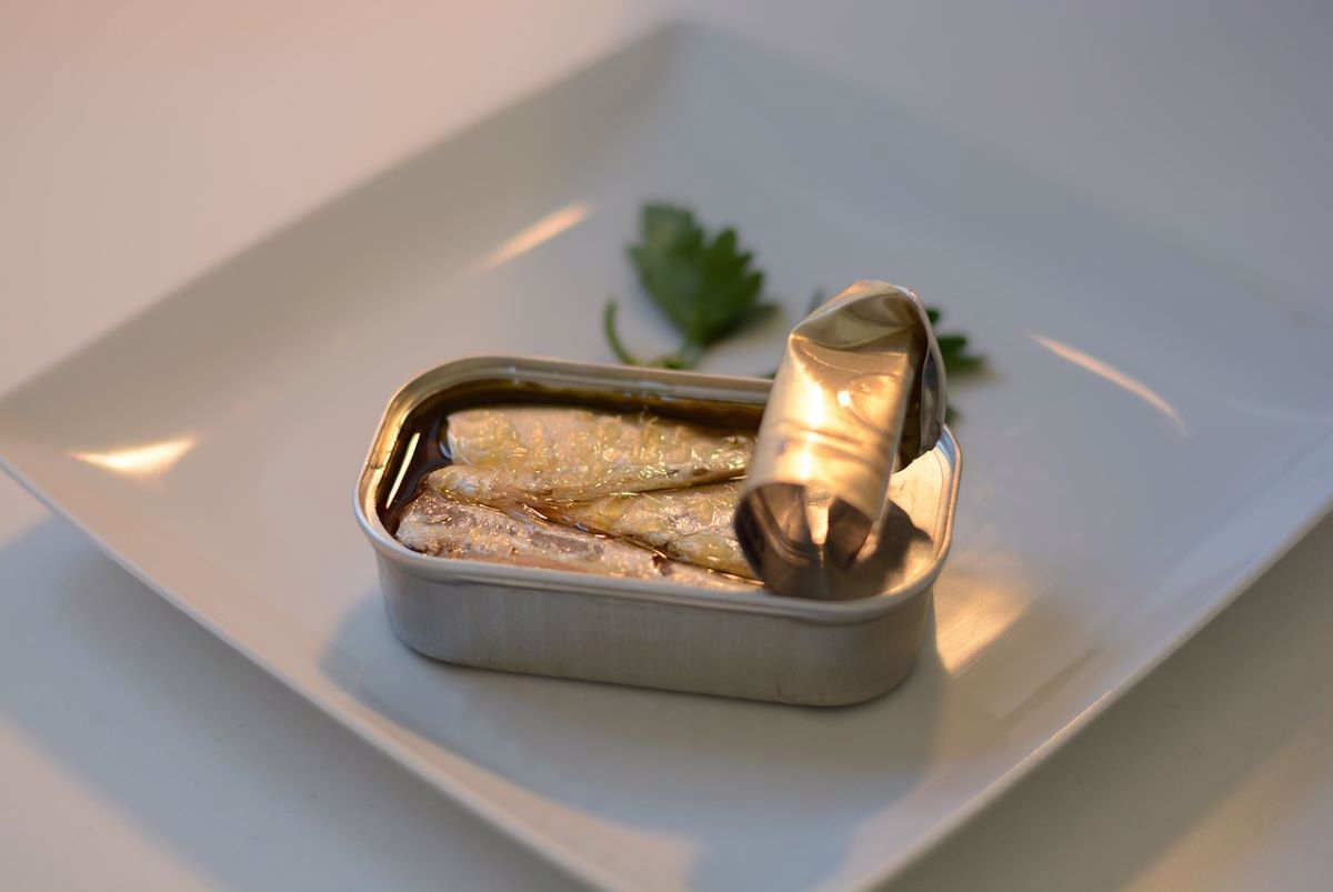 sardinha em lata