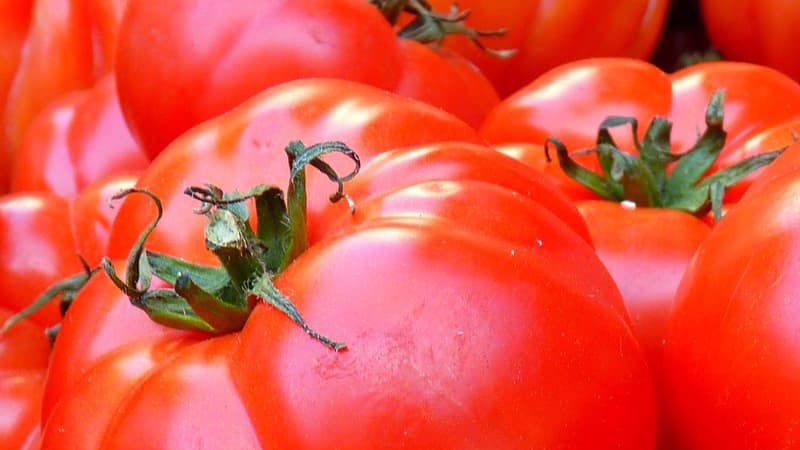 agroalimentar