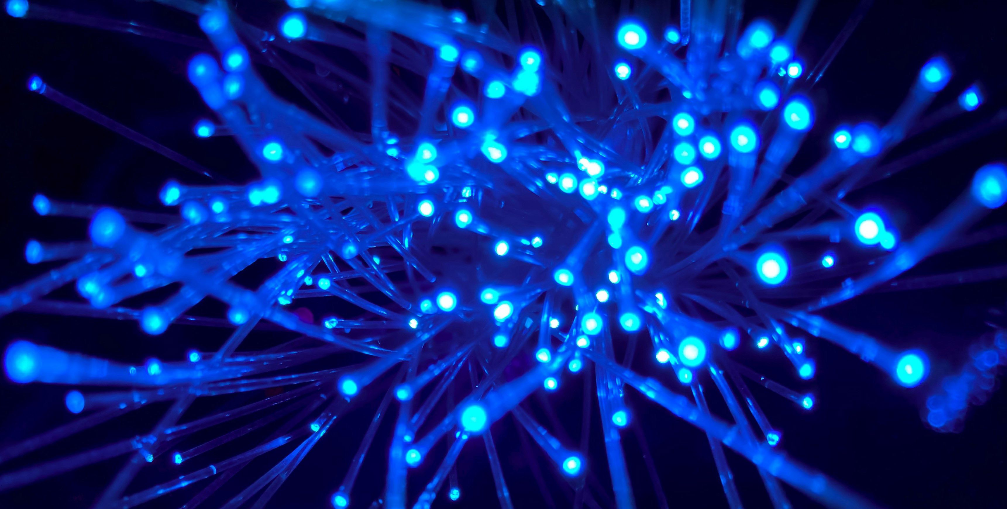 fibra otica